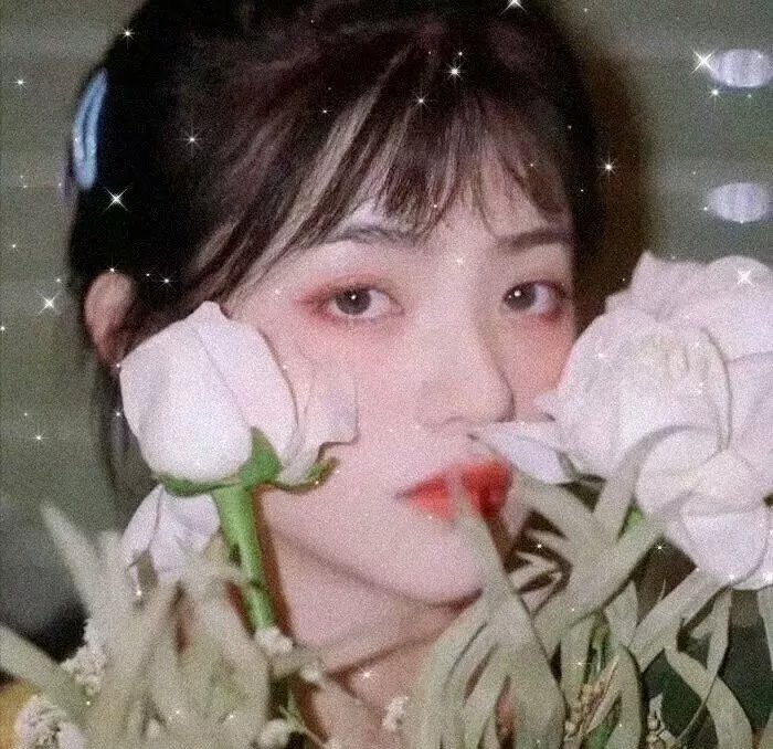 凡妮莎·柯比 